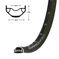 Arch D Rim