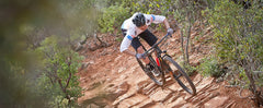 Crest D Rim